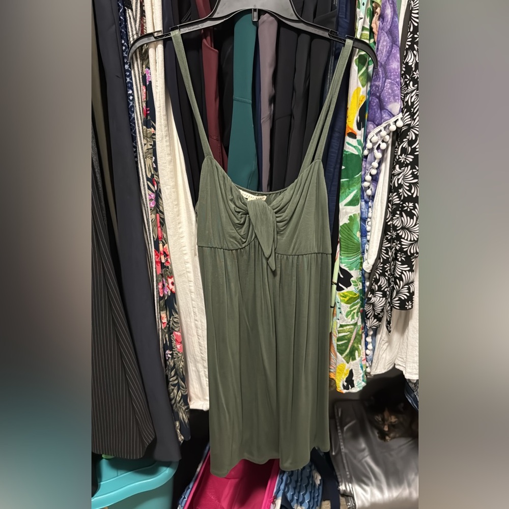 Green Sleeveless Dress nwot